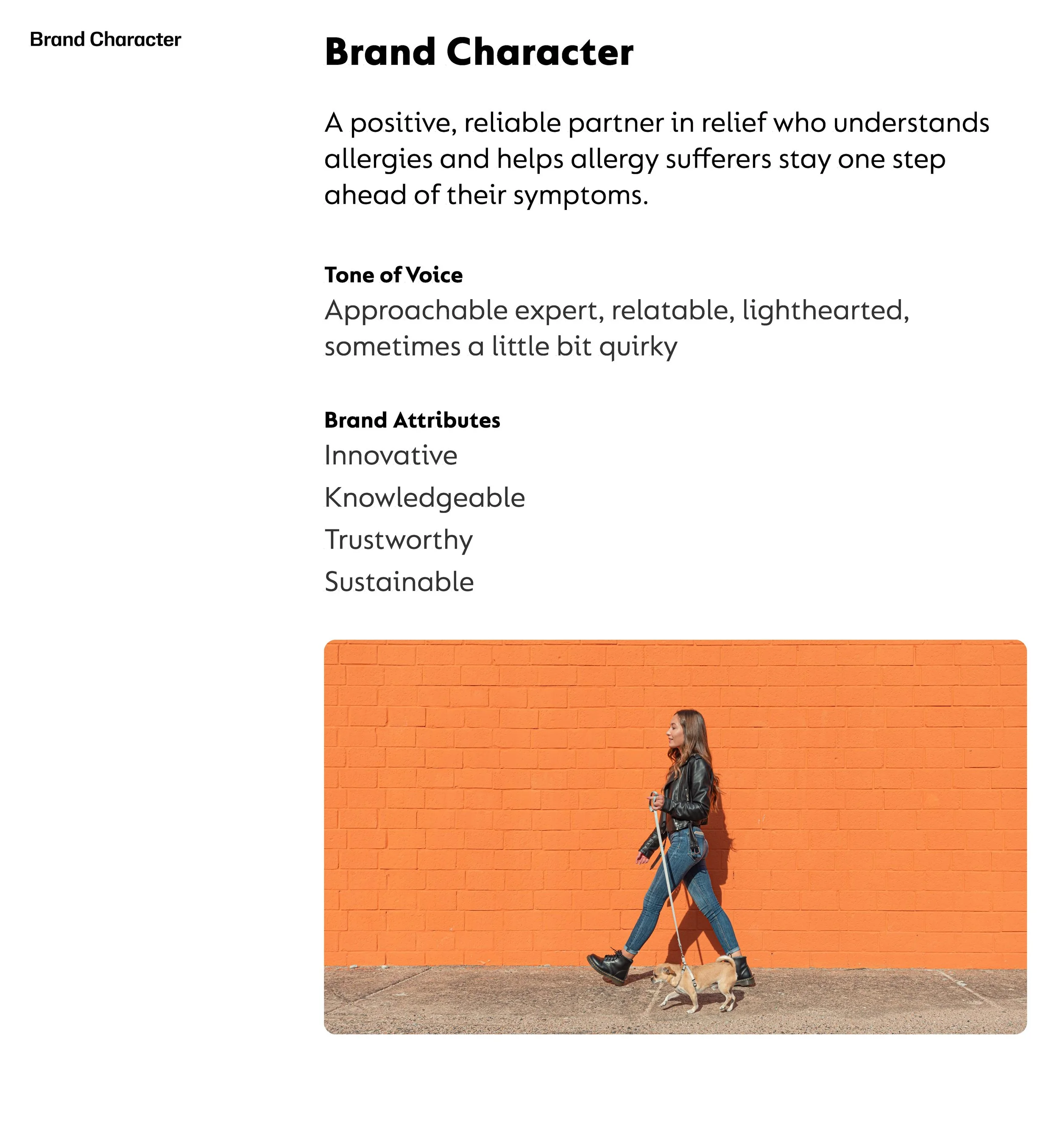 Zyrtec Brand Foundations_ForPortfolio_Page_13.jpg