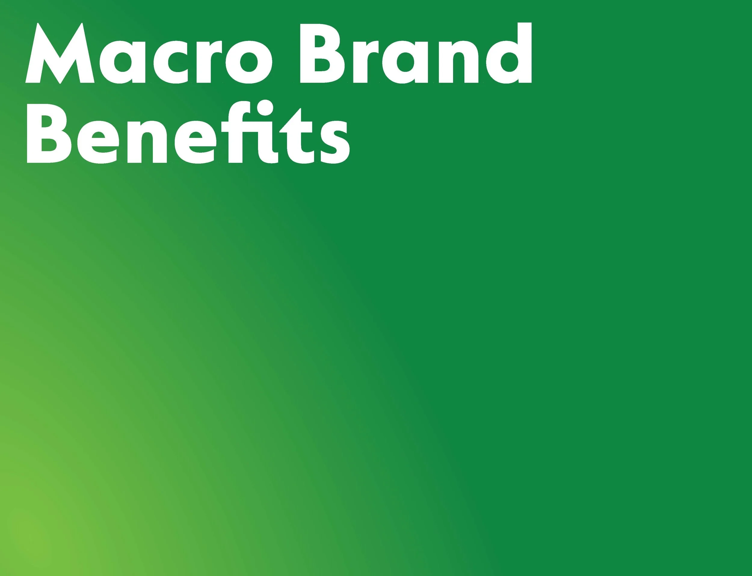 Zyrtec Brand Foundations_ForPortfolio_Page_08.jpg