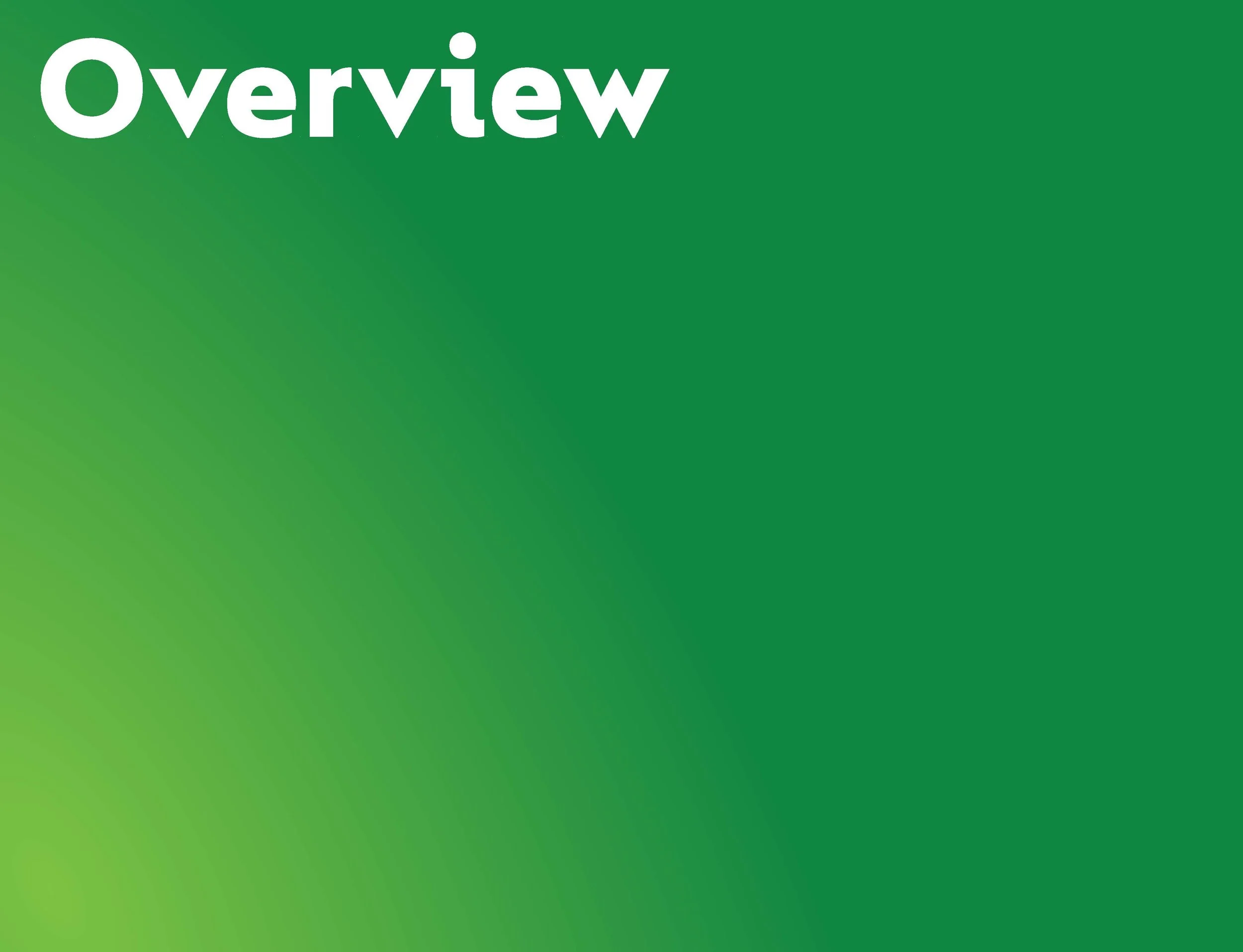 Zyrtec Brand Foundations_ForPortfolio_Page_02.jpg