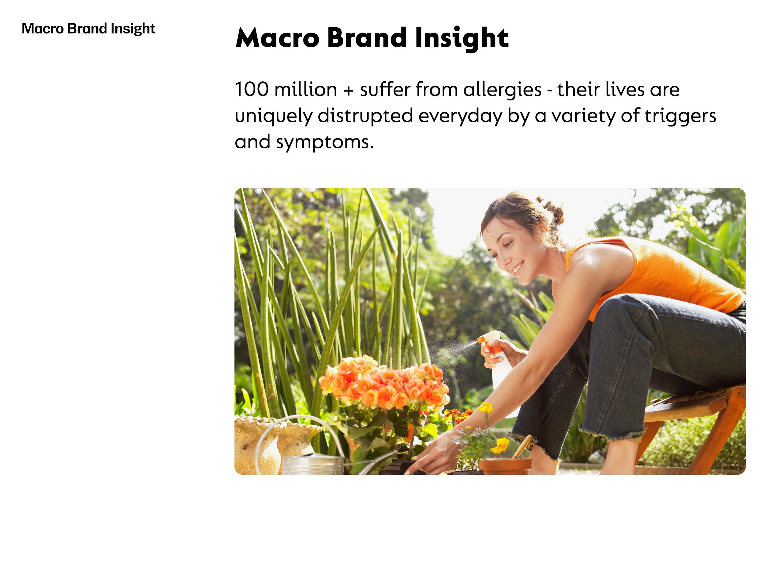 Zyrtec Brand Foundations_ForPortfolio_Page_07.jpg