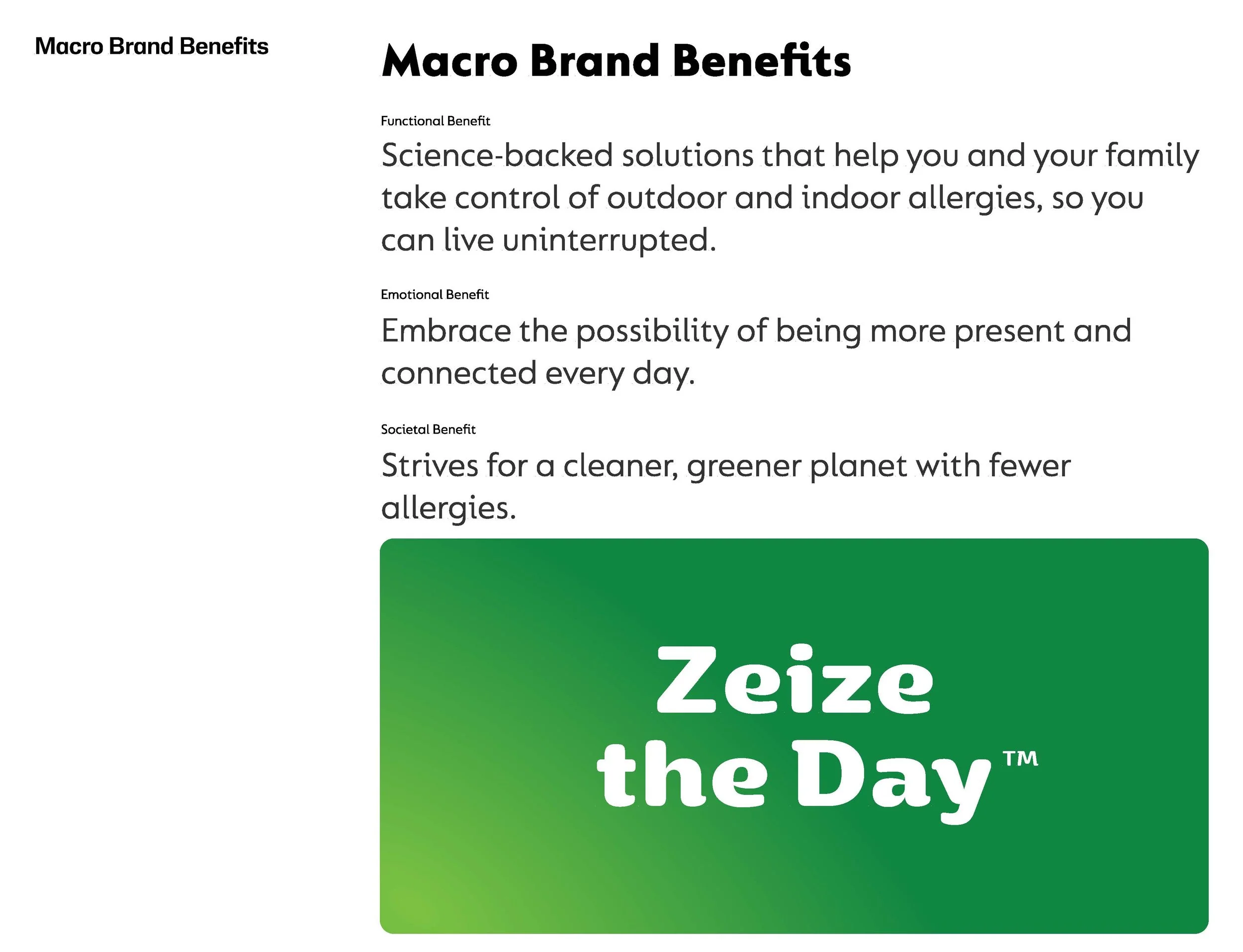 Zyrtec Brand Foundations_ForPortfolio_Page_09.jpg