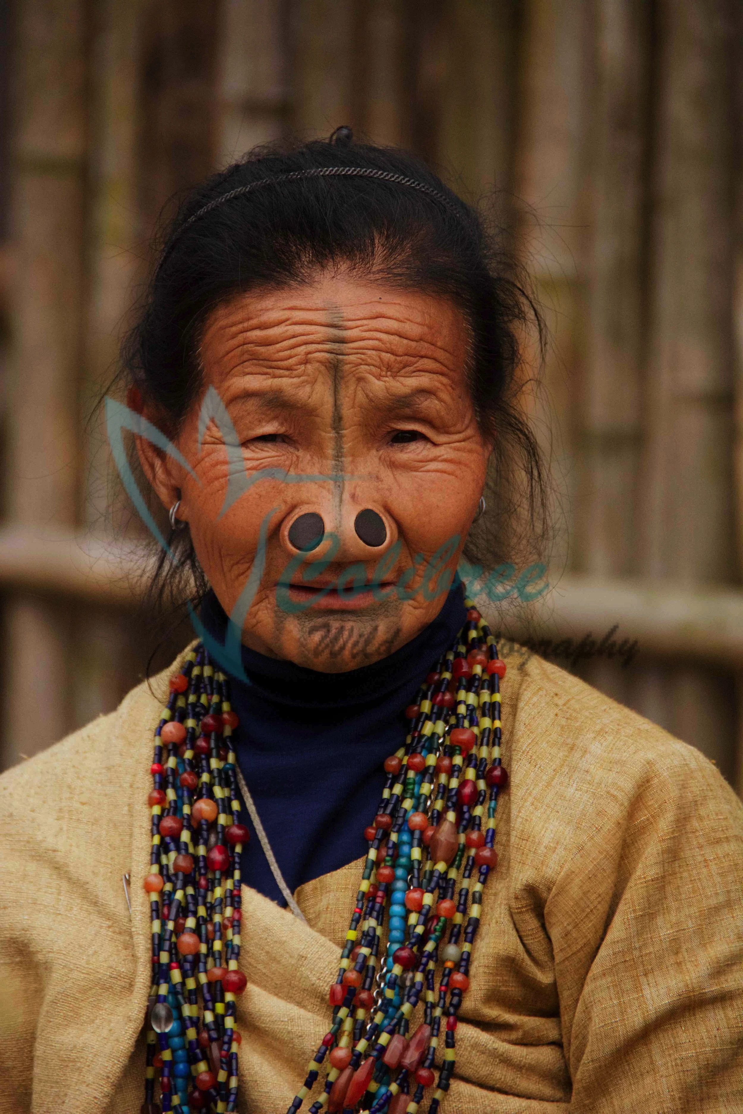 Ata Pani Lady Online.jpg