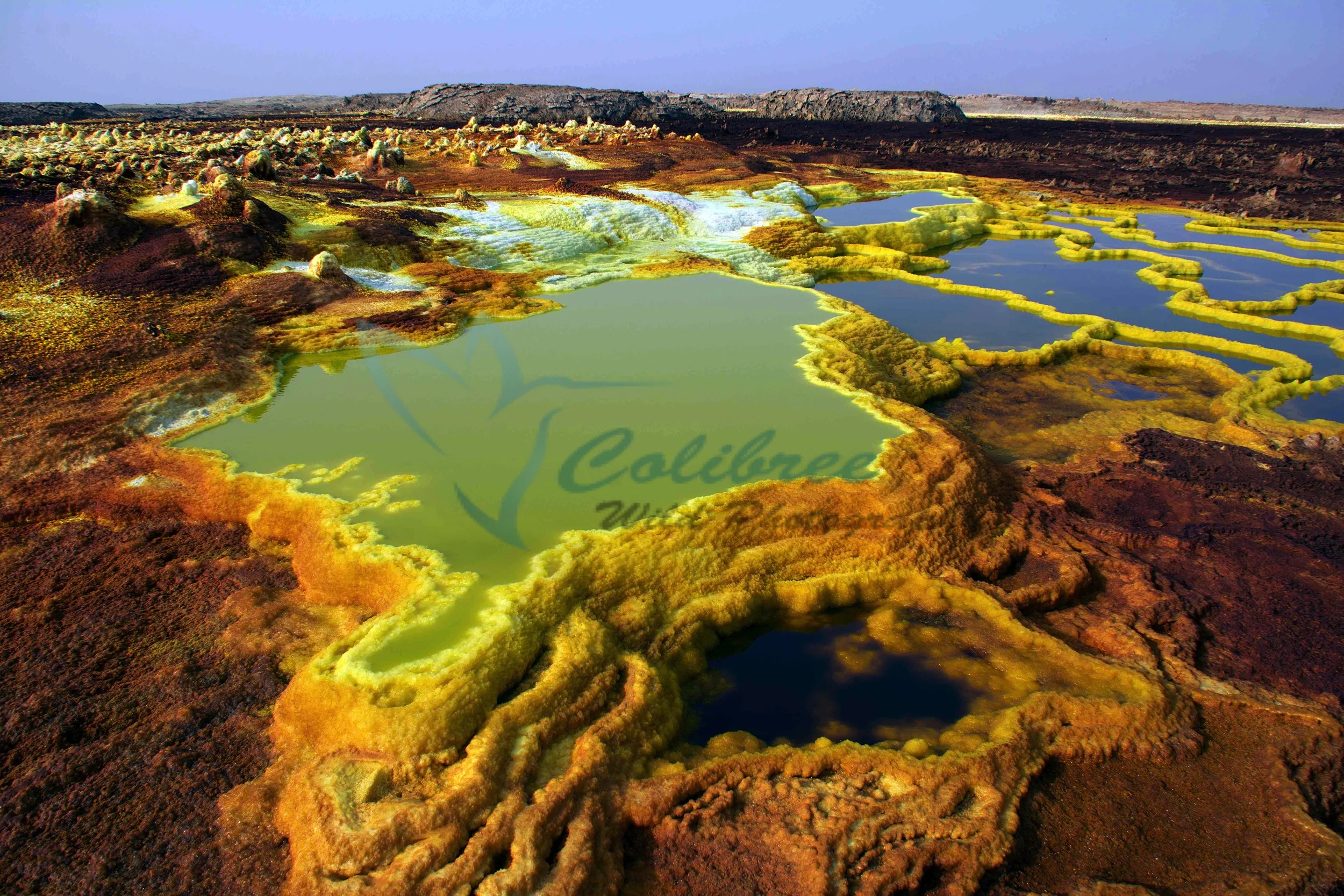 Dallol Online.jpg