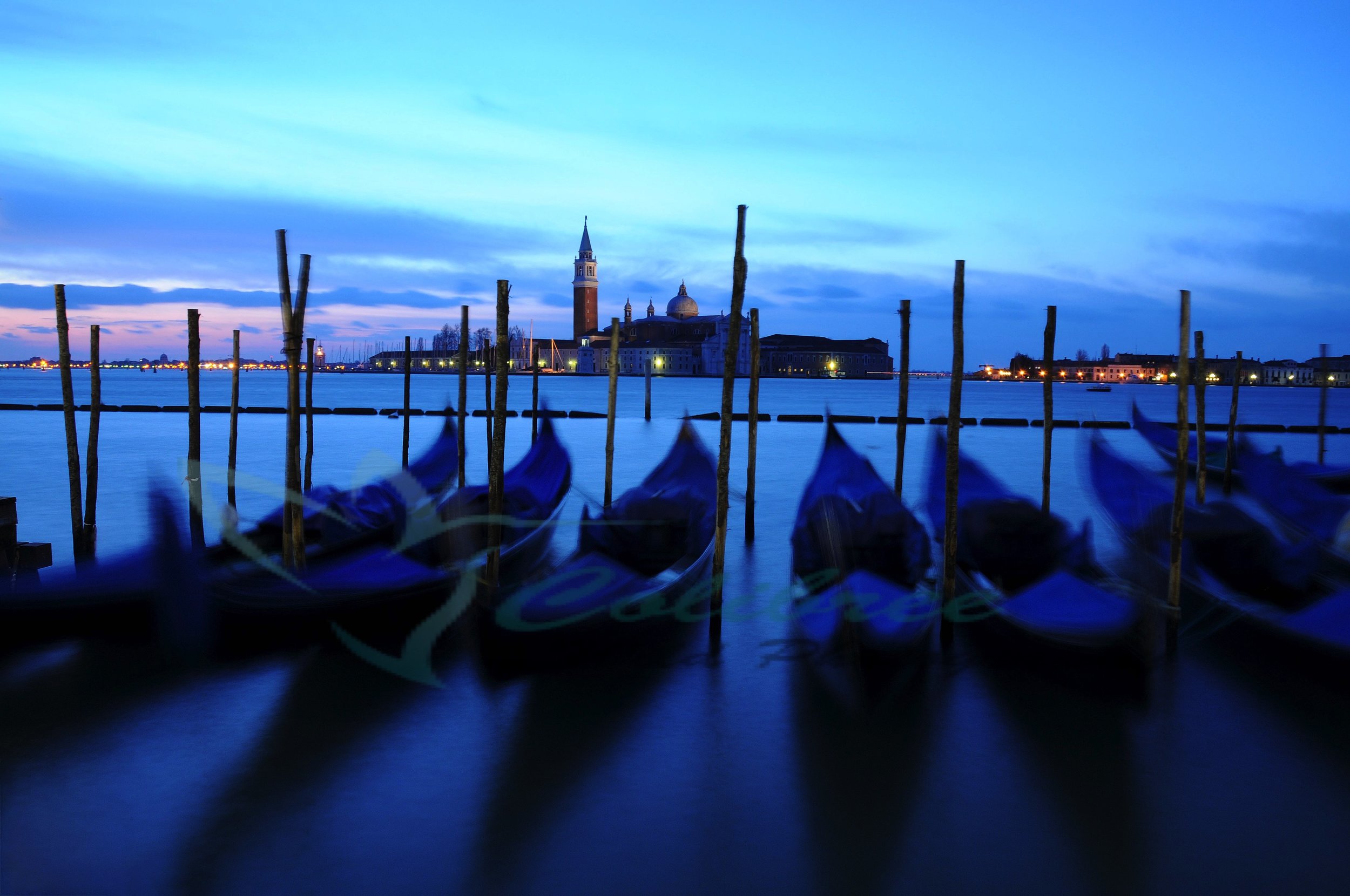 Venice AM03 ADR website-1.jpg