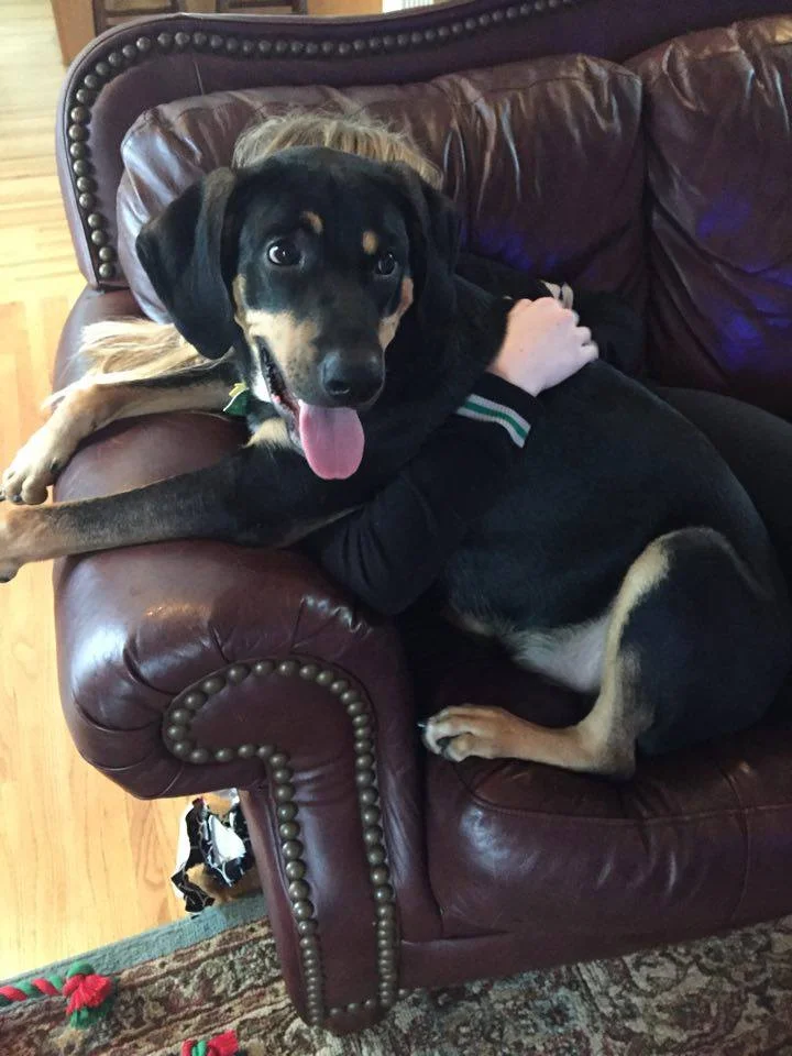 Elvis