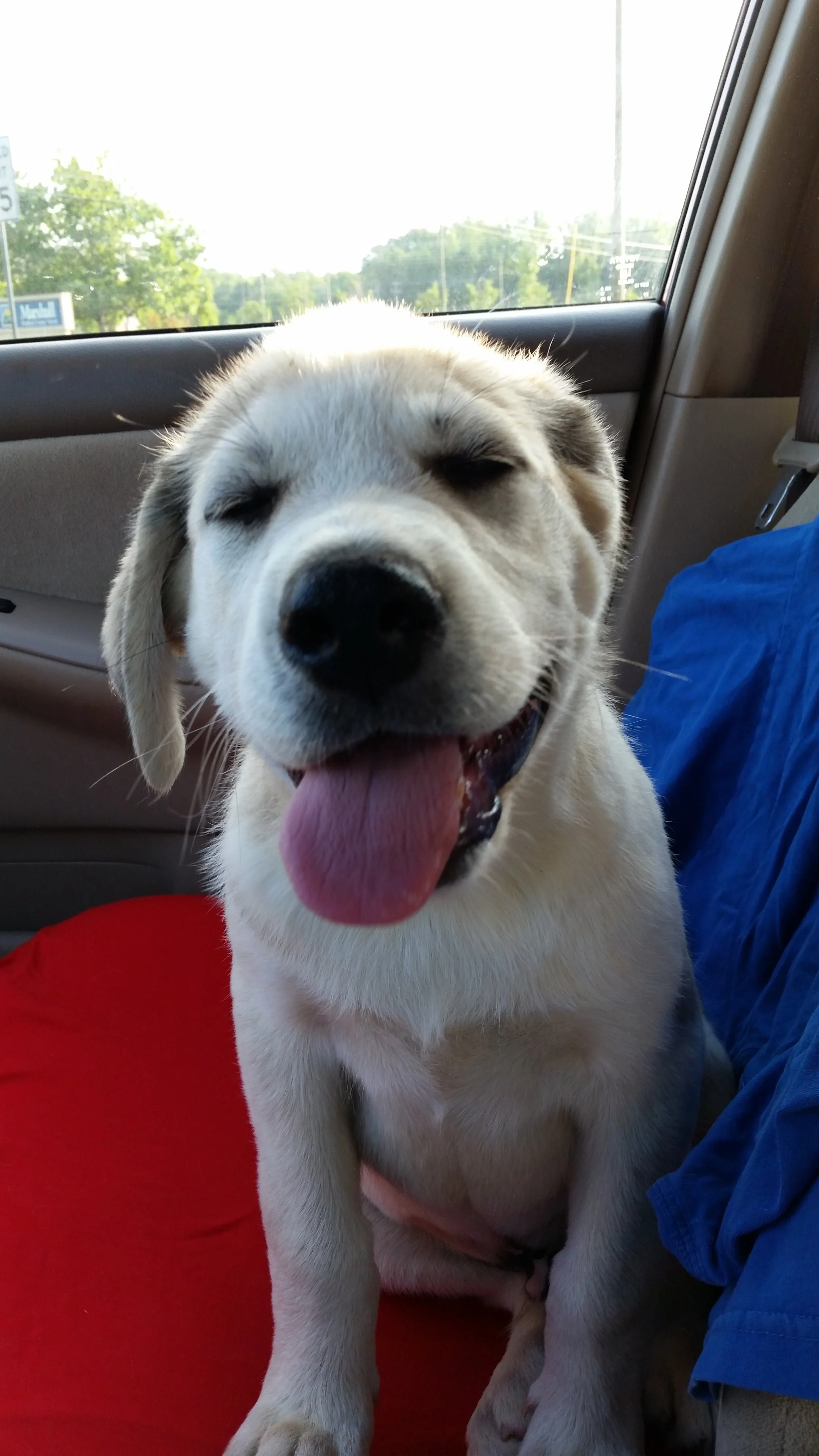 Max