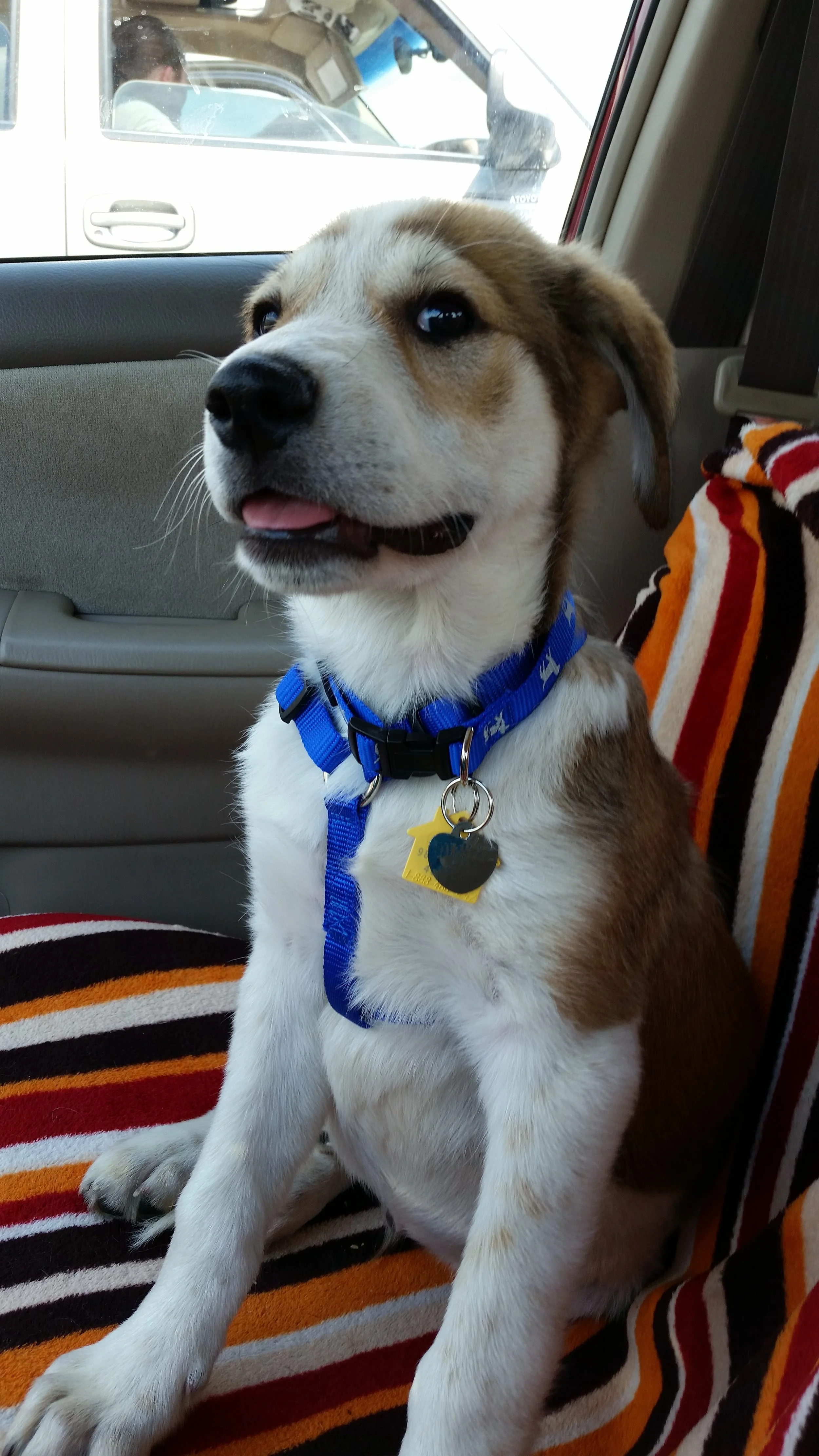 Rosco