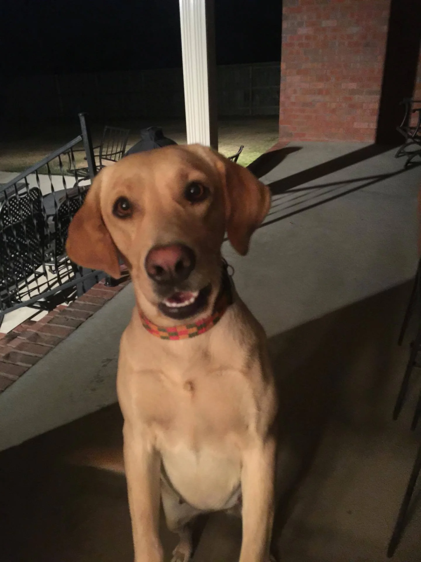 Hallie