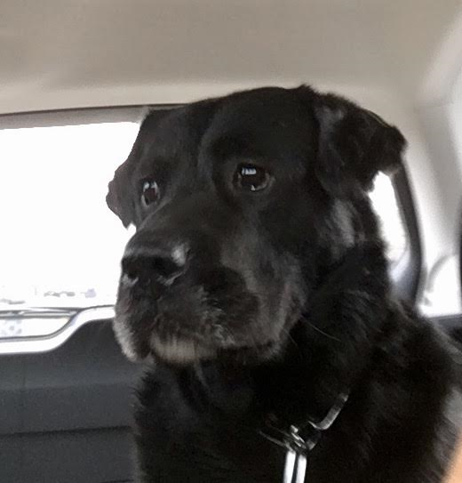 T. Bear aka Captain