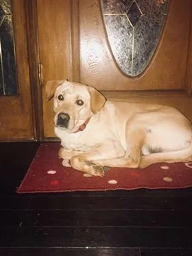 Dasher