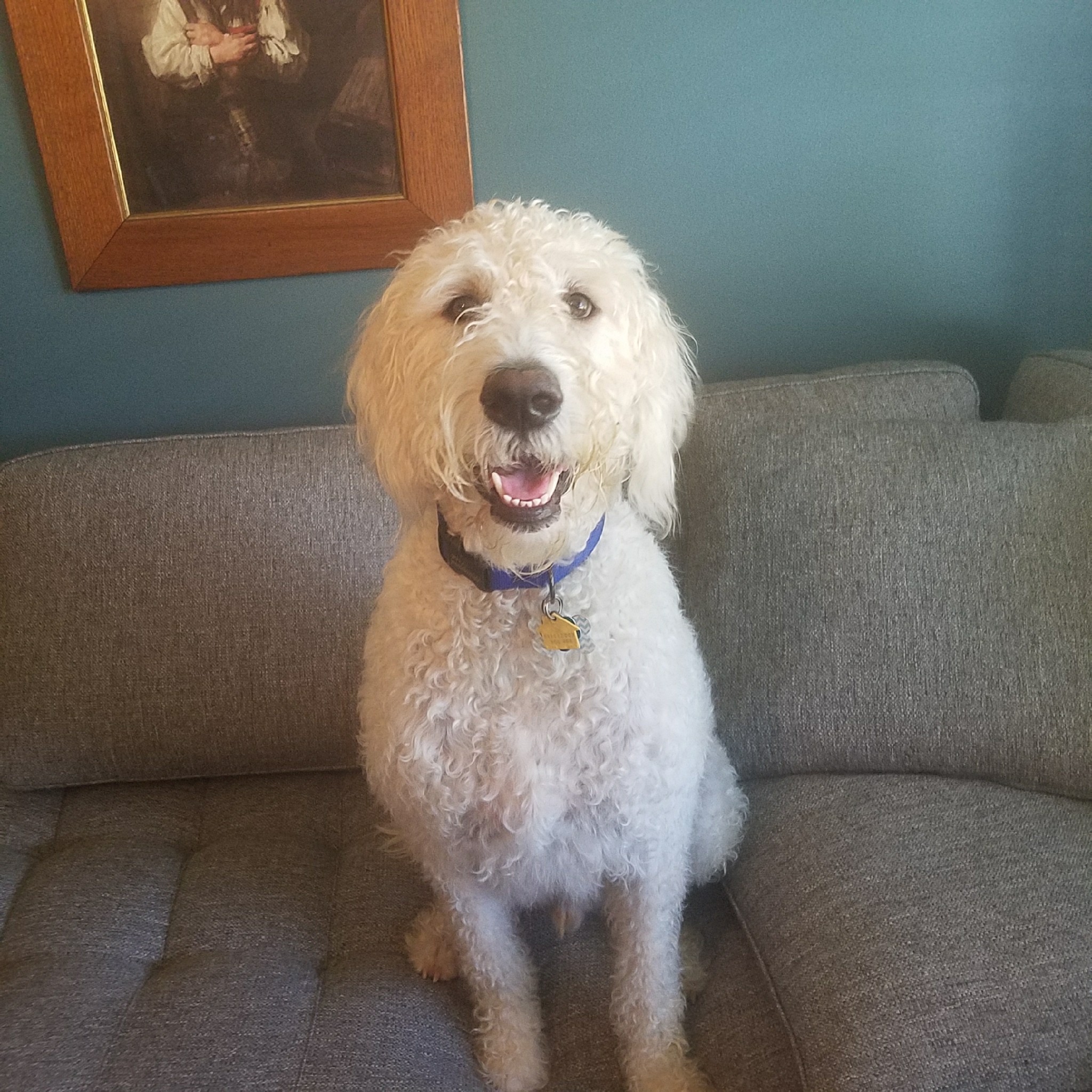 Tucker