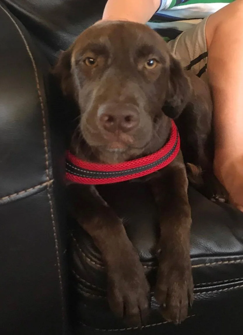Maggie