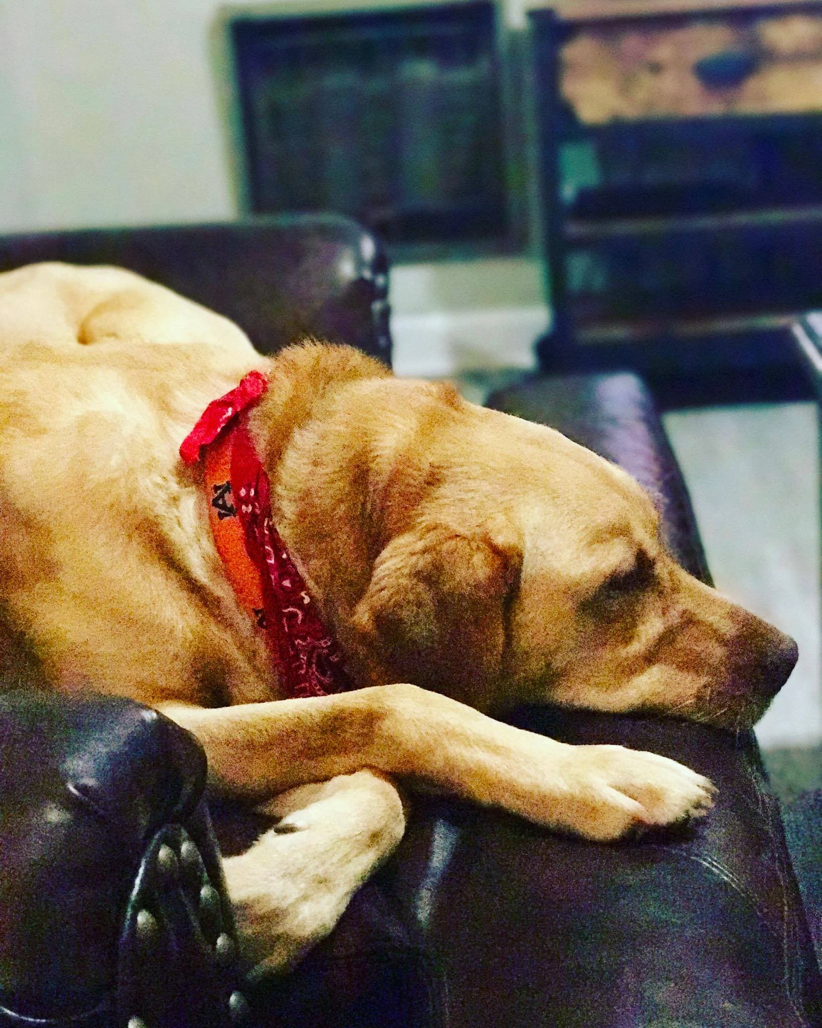 Remington