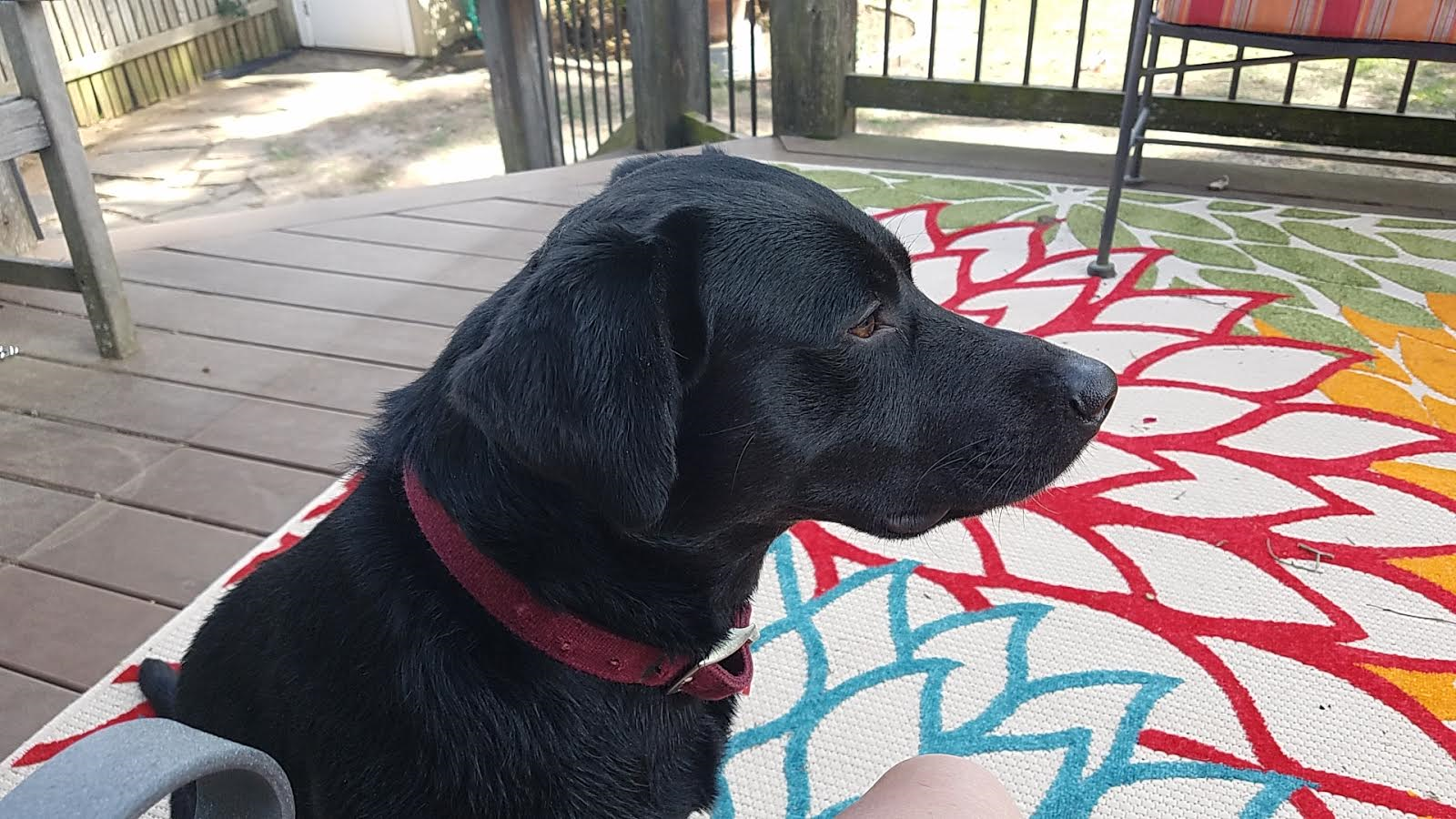 Remy