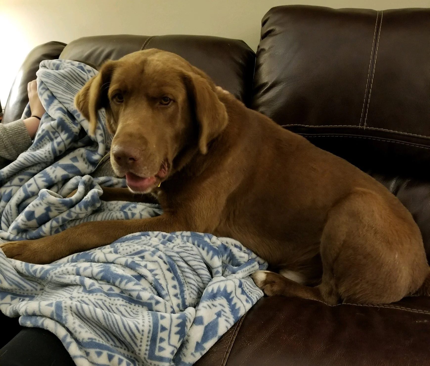 Benson