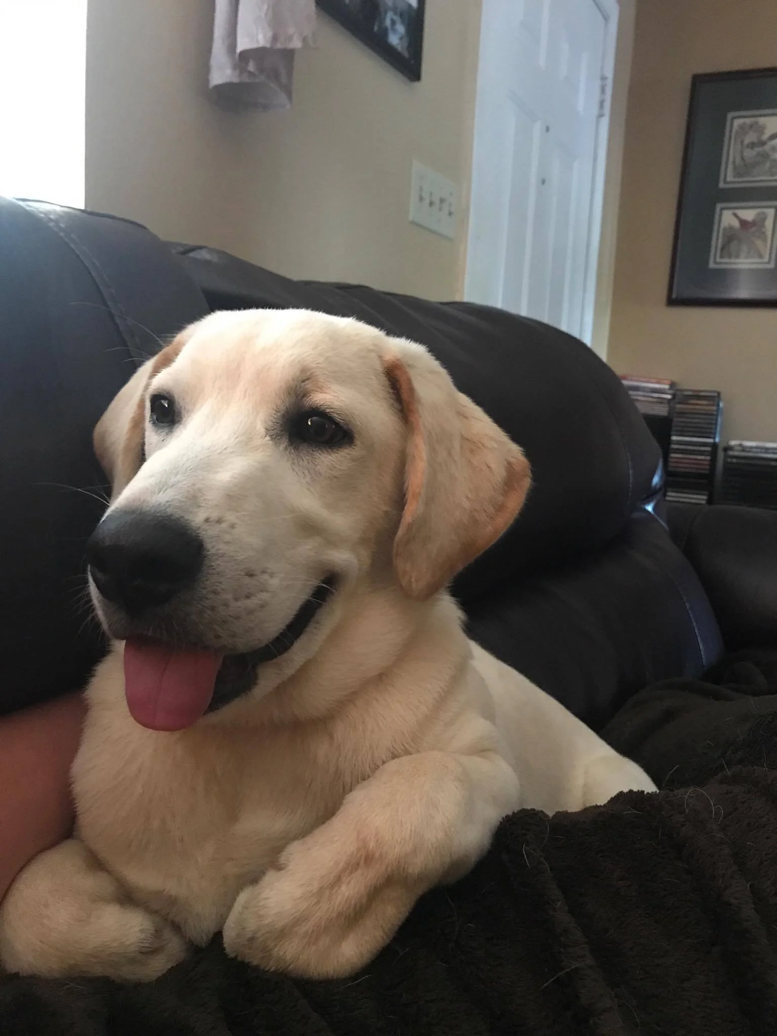 Duke
