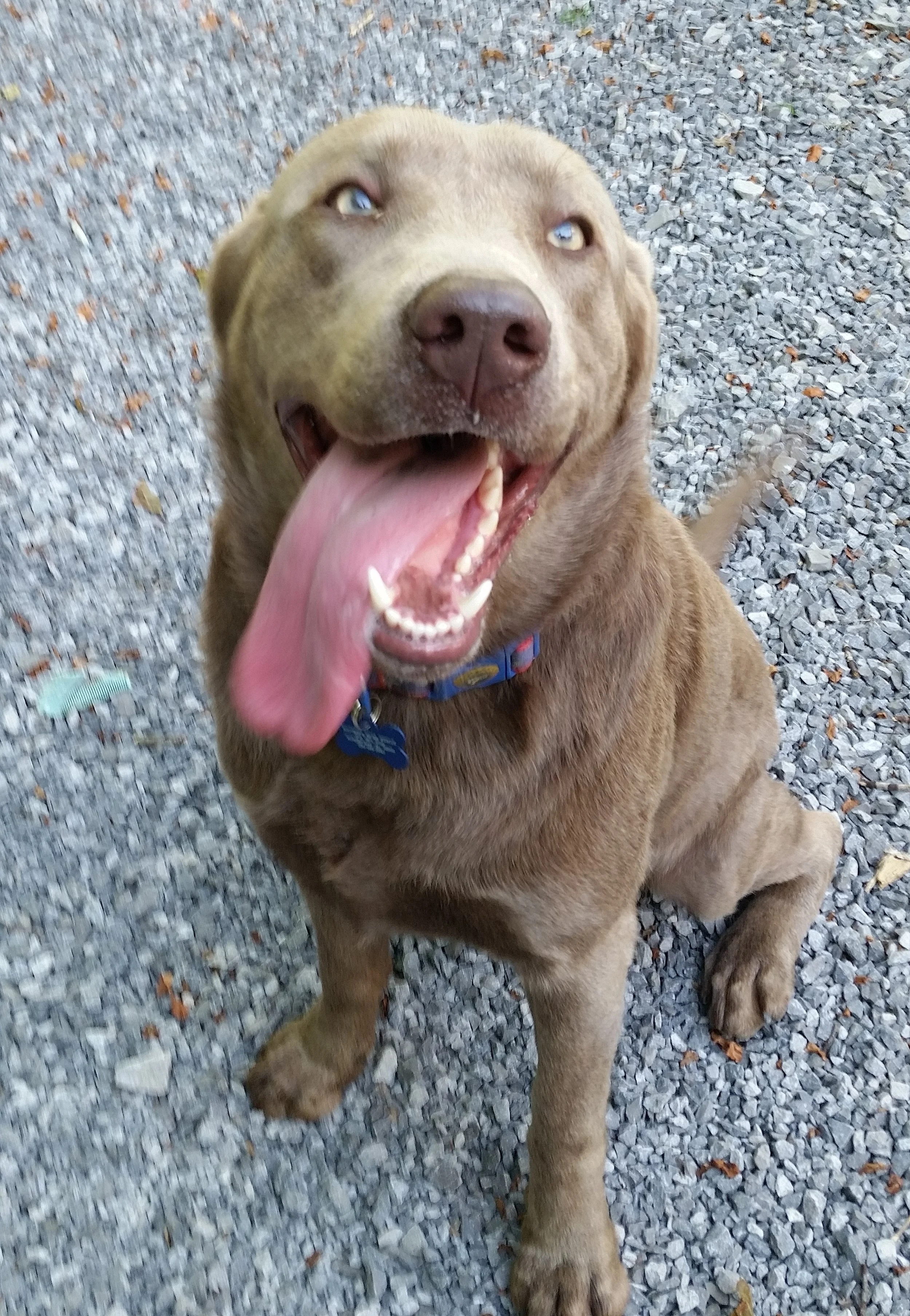 Zeke