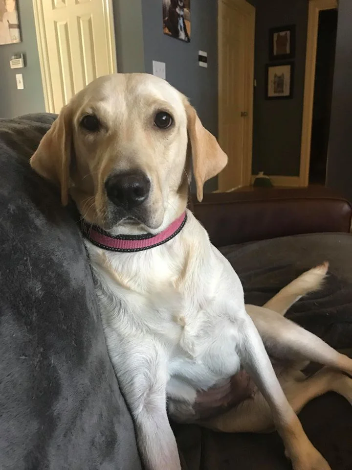 Maggie