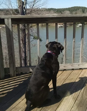 Tina