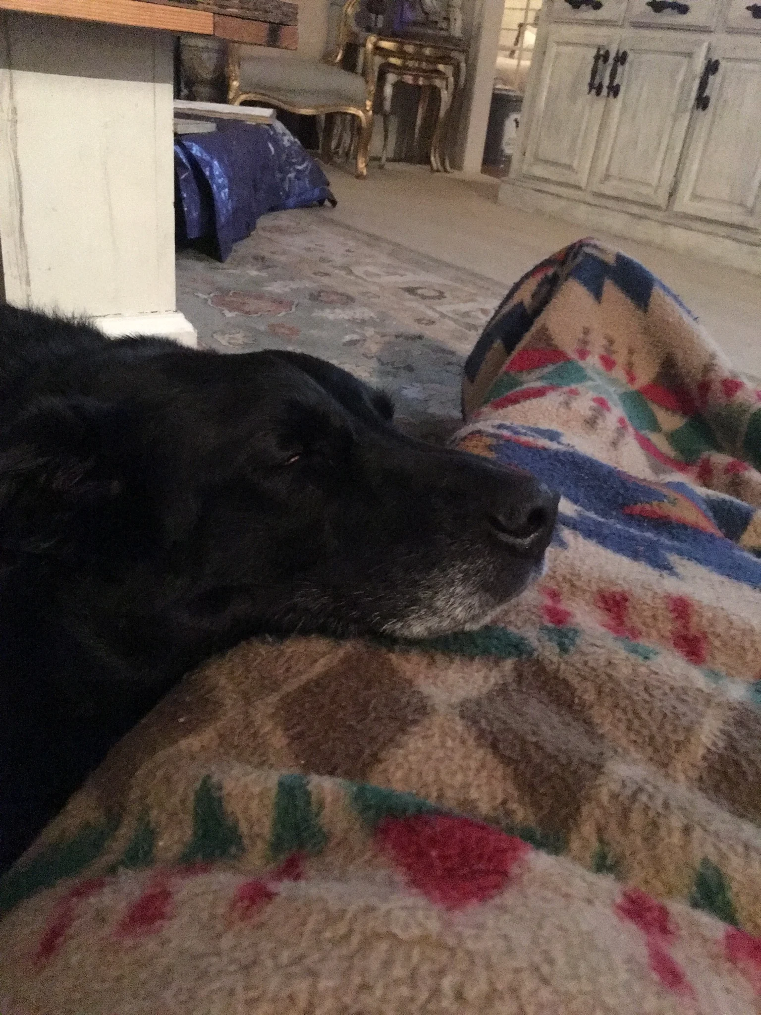 Sammie