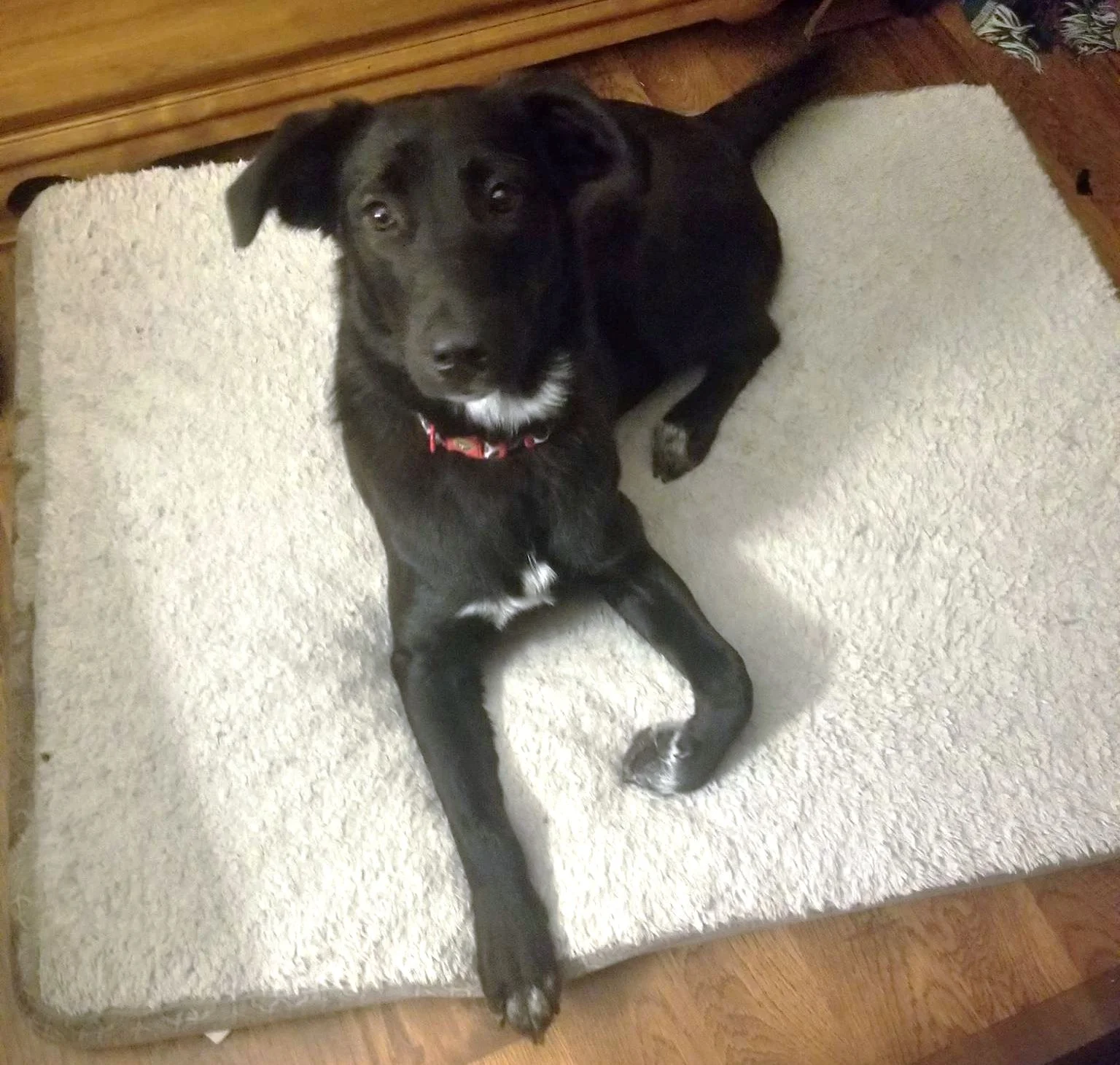 Lena