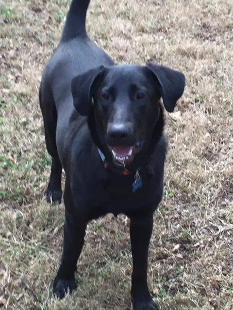 Molly