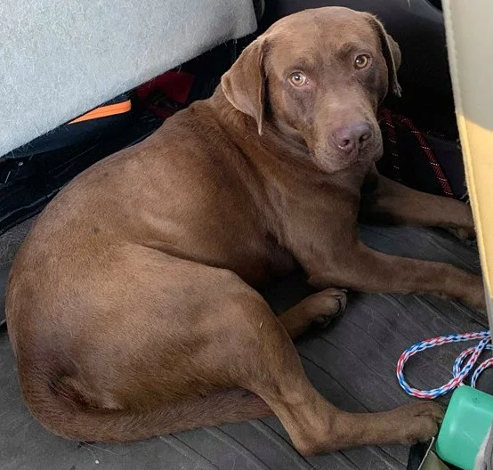Duke