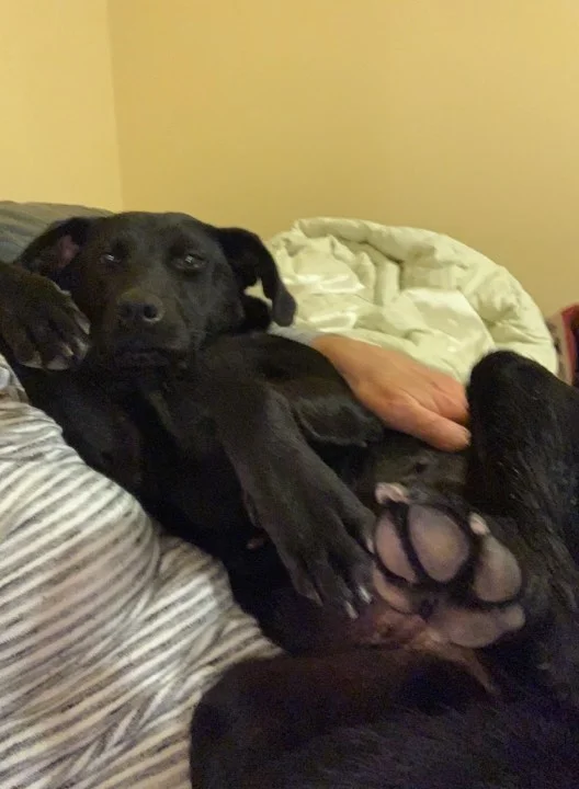 Mira