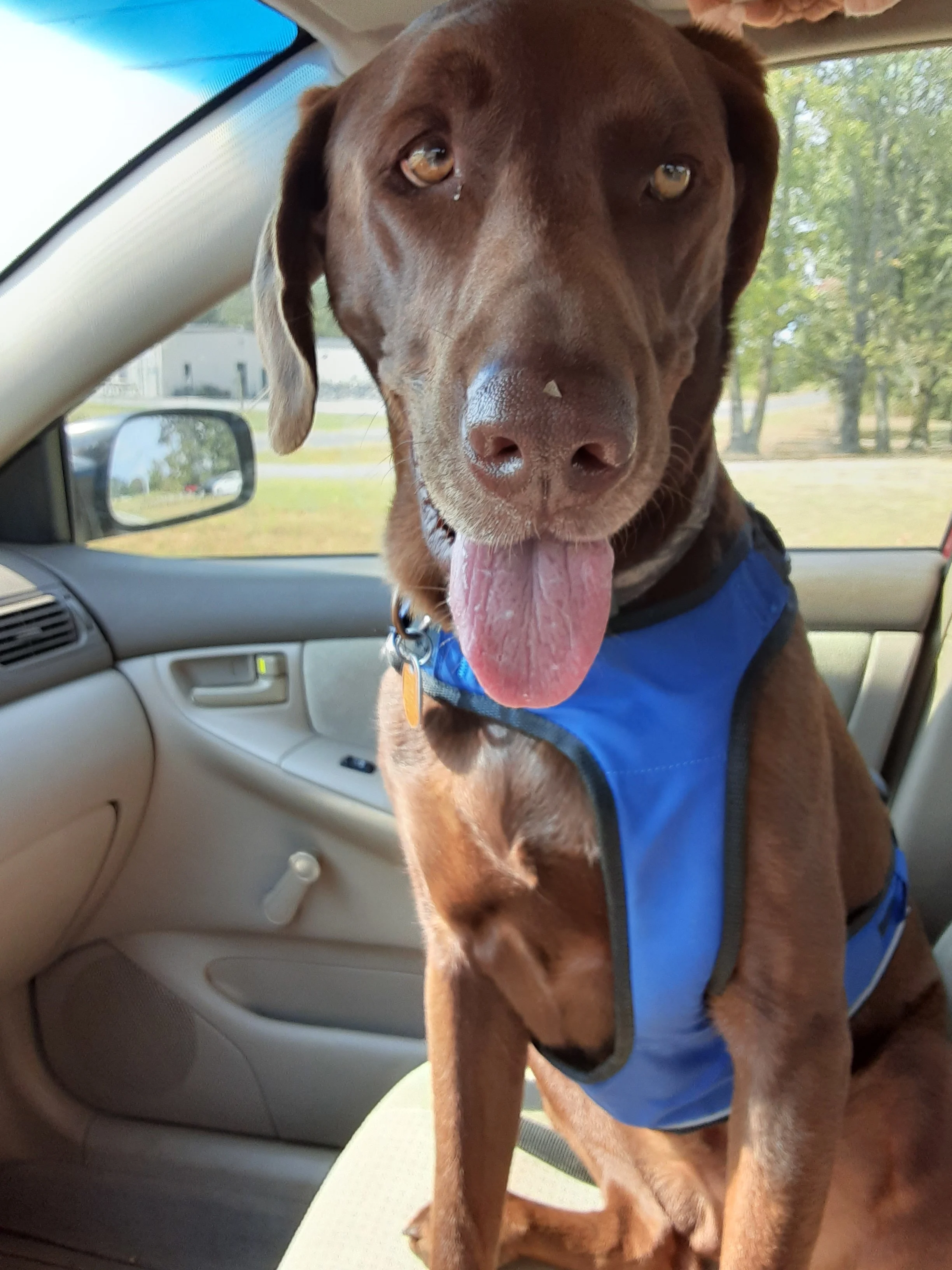 20190929_113147 - Copy.jpg
