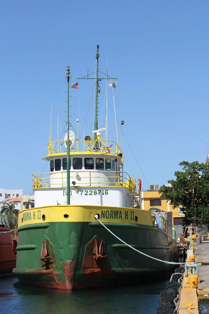 3b.jpg