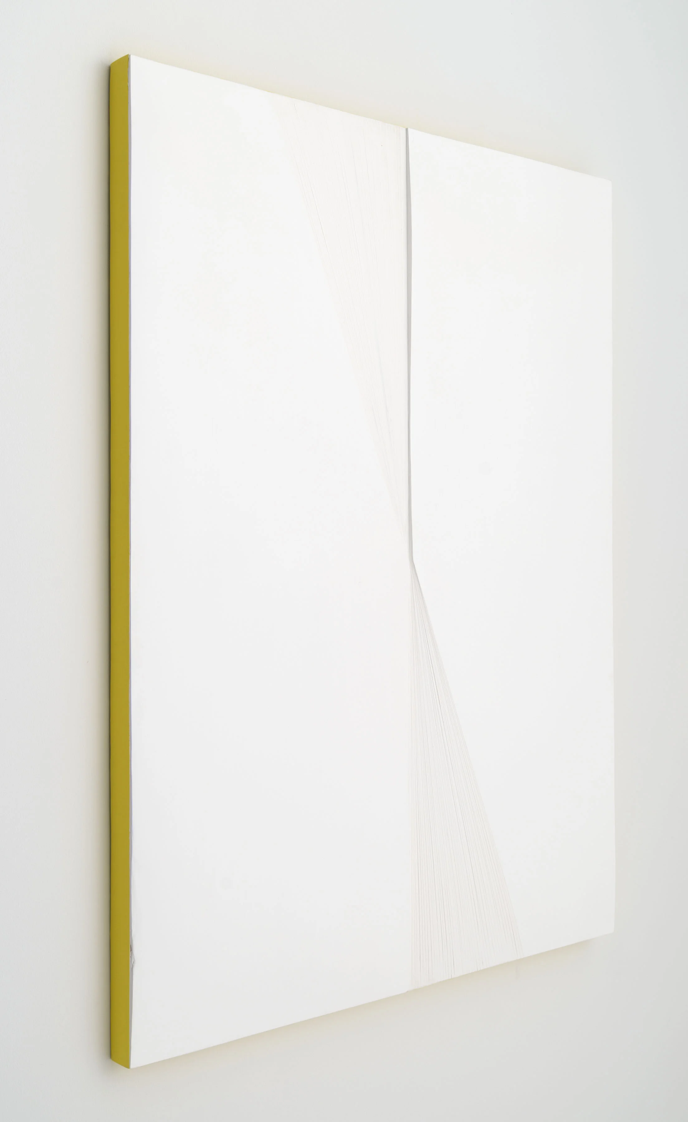 i'm not here, but i was gesso, acrylic on panel 40 inches x 36 inches 2014