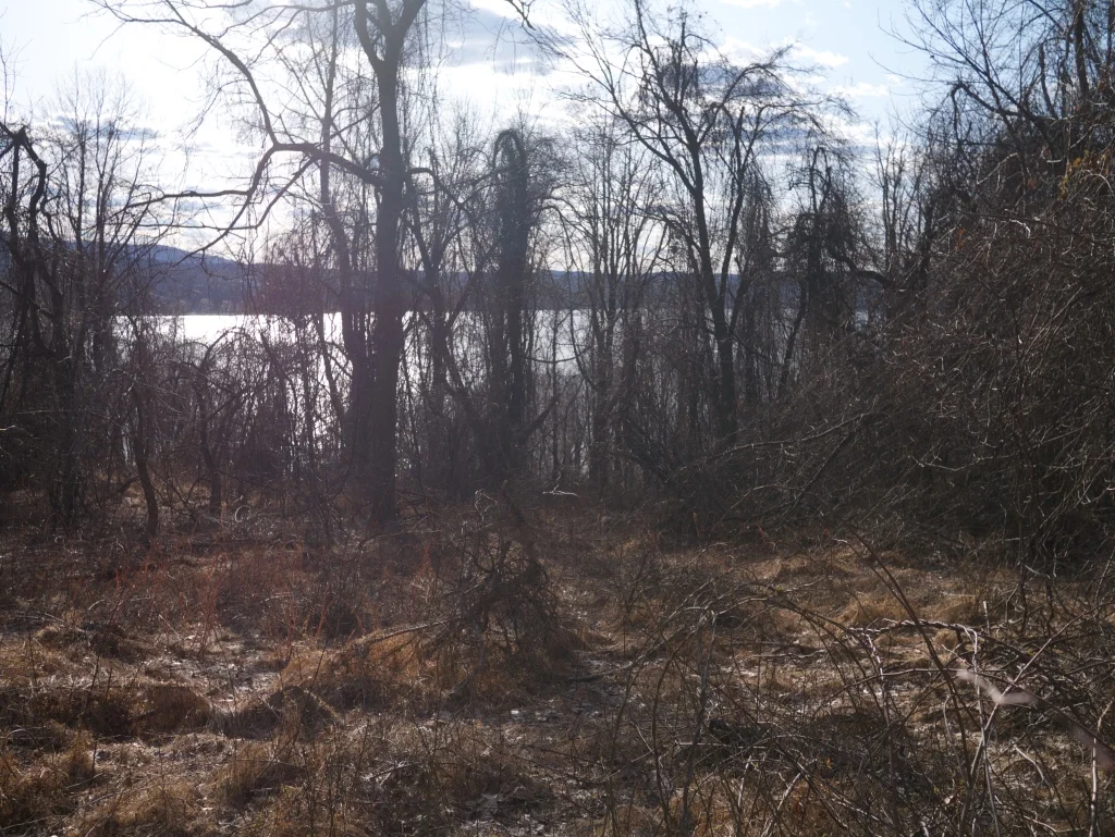 P1020988_1024.jpg