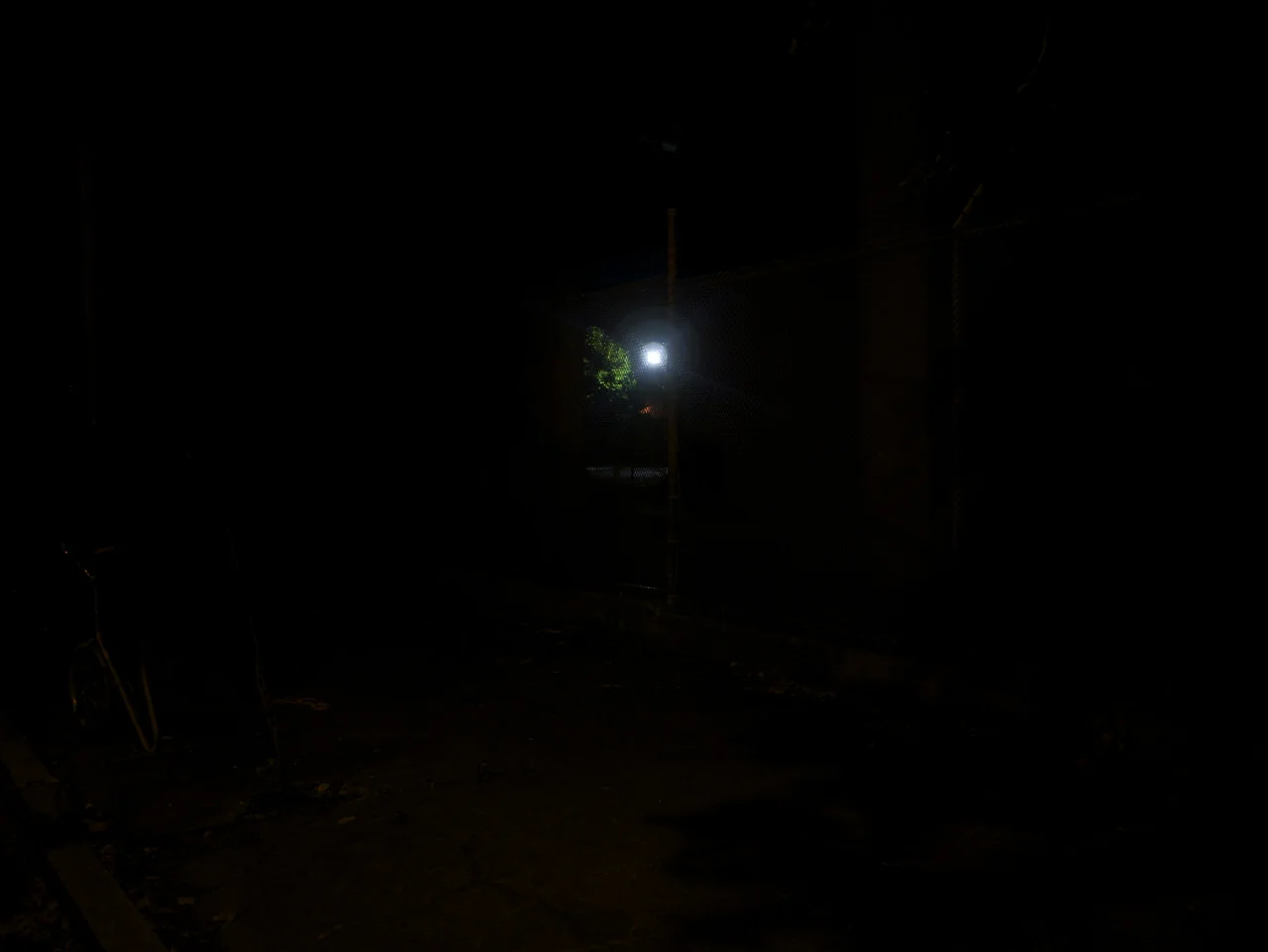 tumblr_ms3hnijwbP1qk8wc3o1_1280.jpg