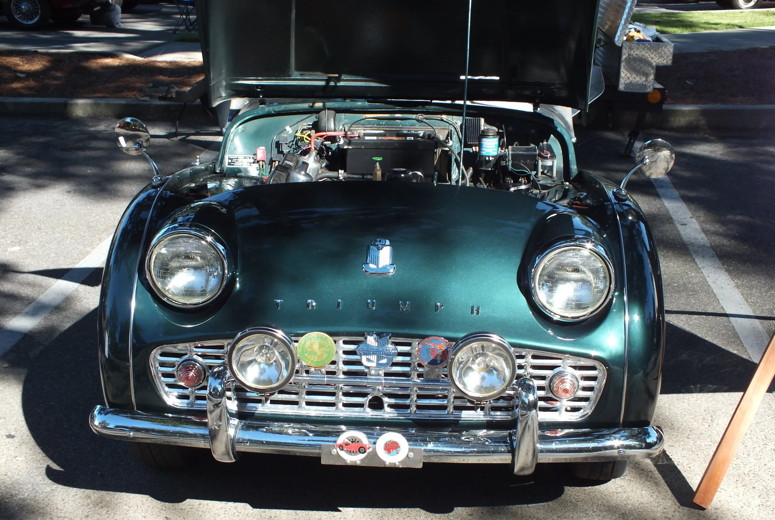 DSCF1294.JPG