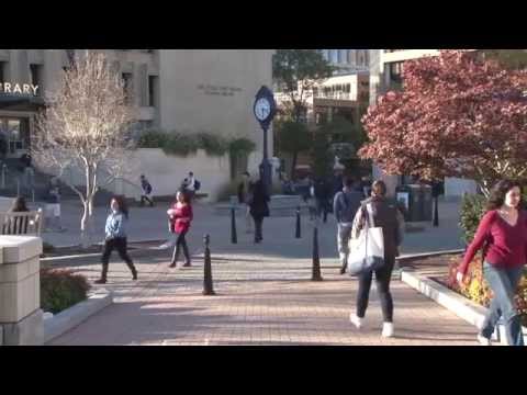 Campus Mental Health: Where Students Pick Up the Administration's Slack