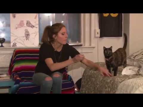 Kat's Cat
