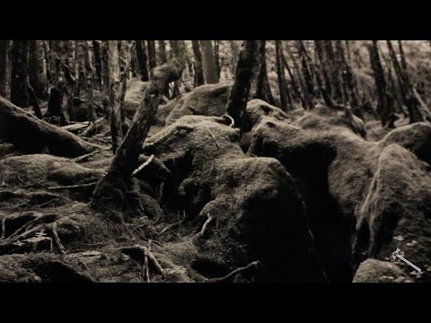 Spirits: Works by Kohei Urakami