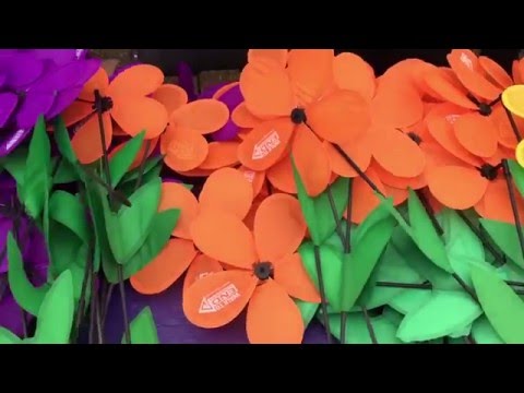 Walk to End Alzheimer's