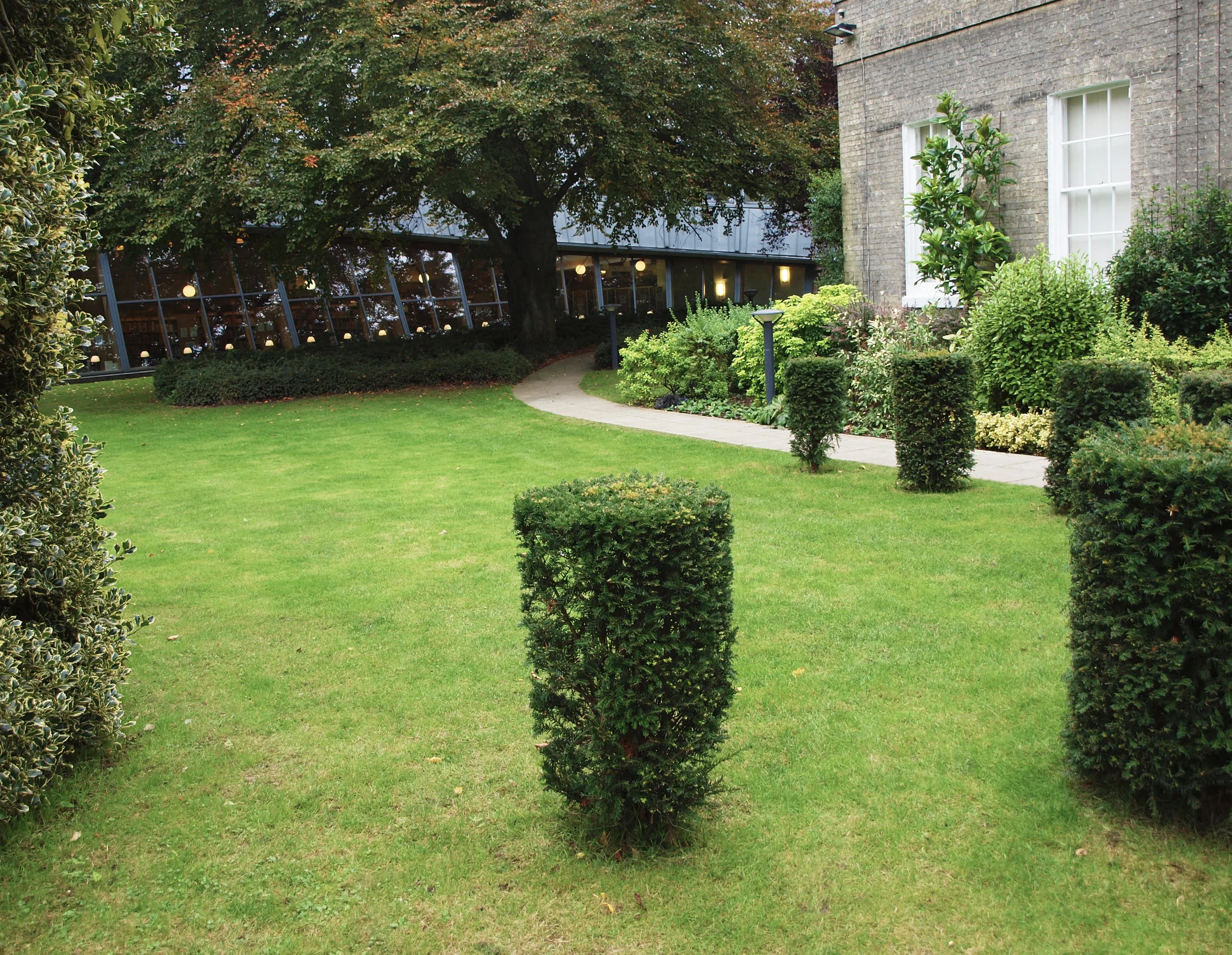 Circular trimmed trees