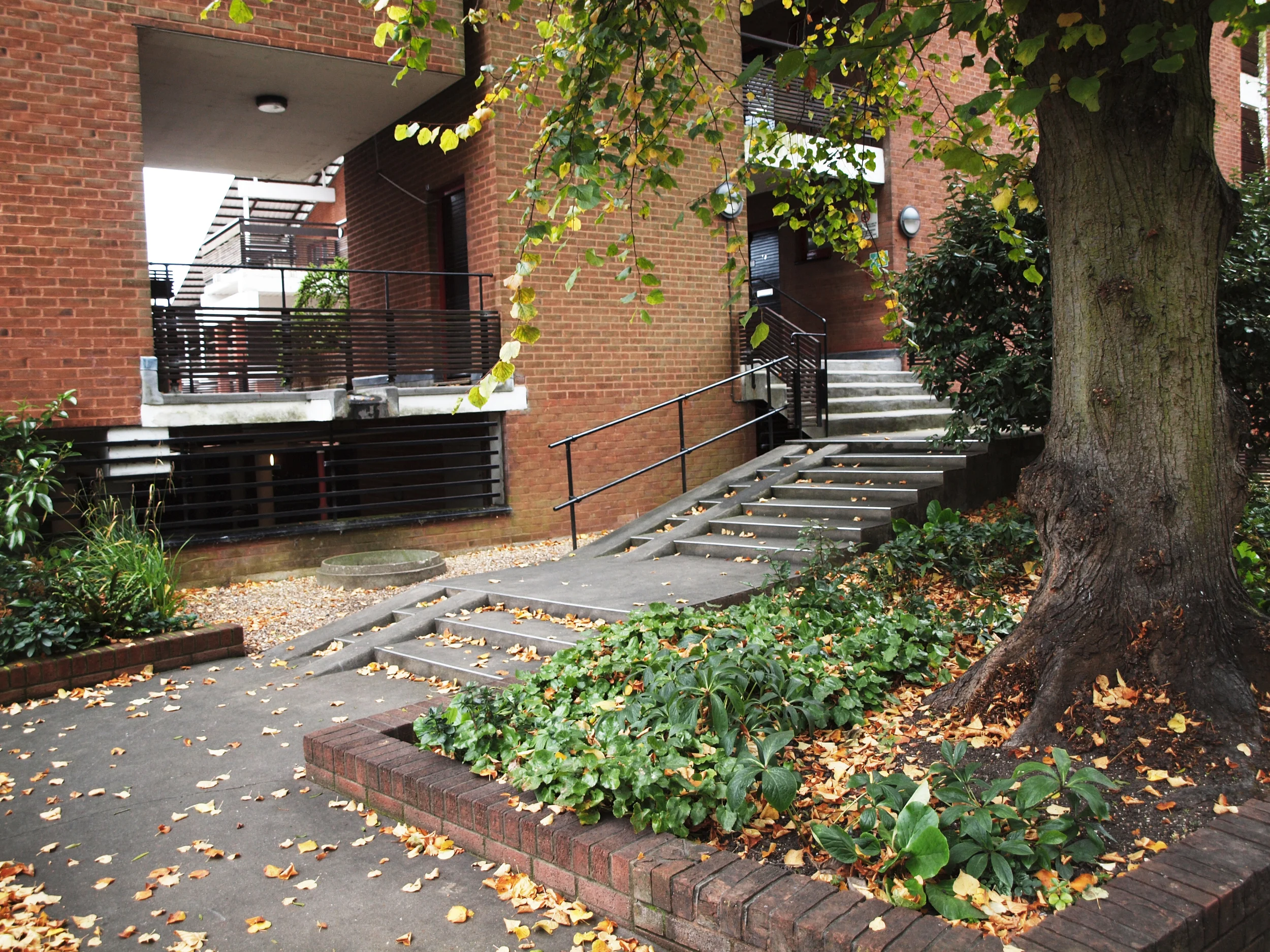 Ramps and Stairs