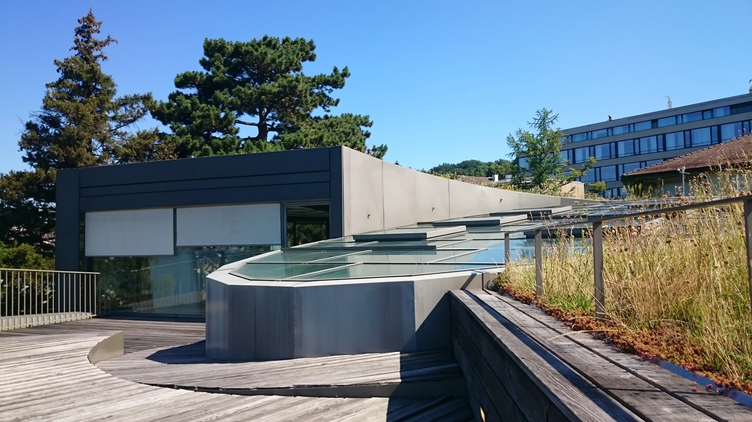 Roof top