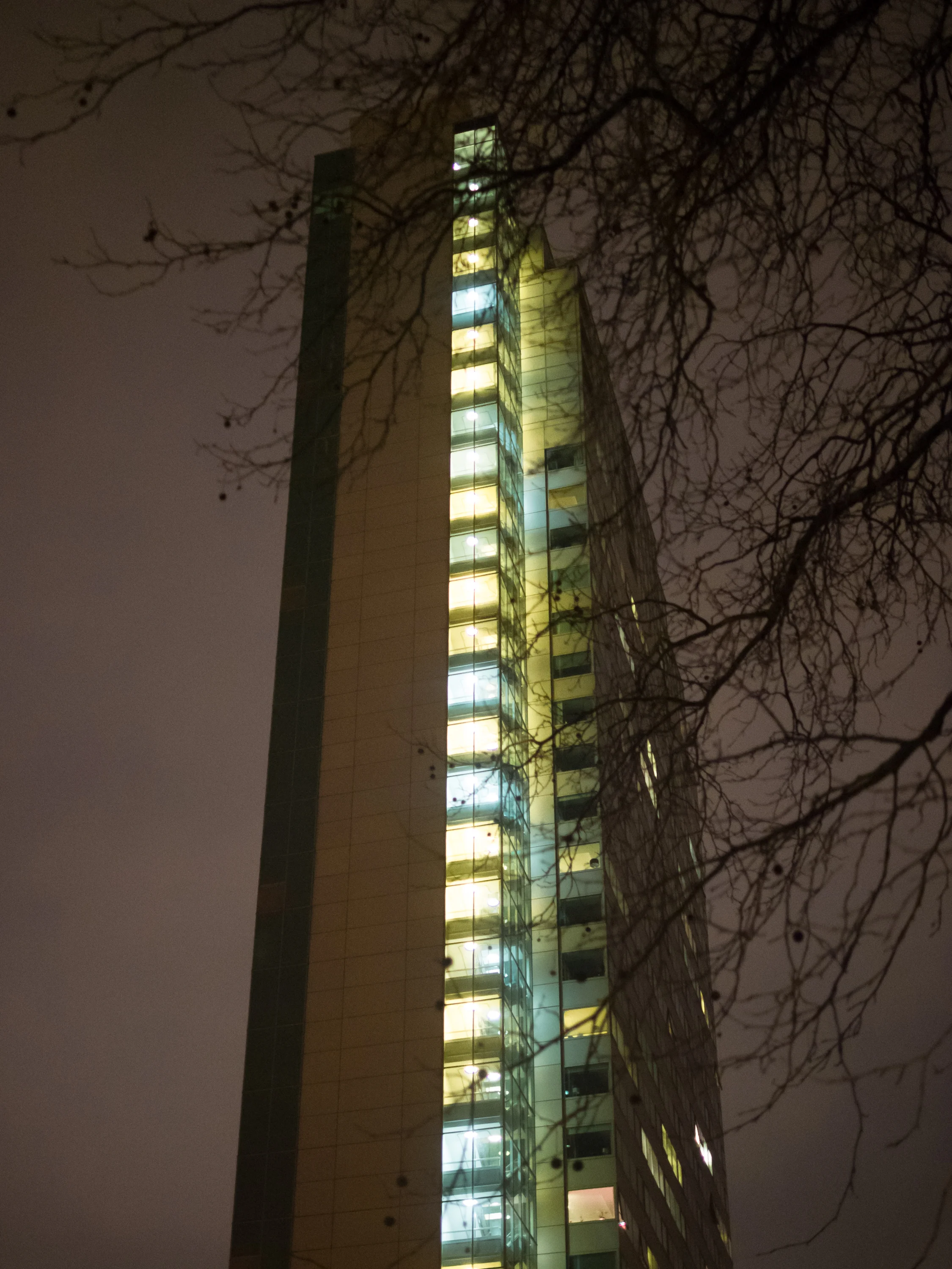 PC250220.jpg