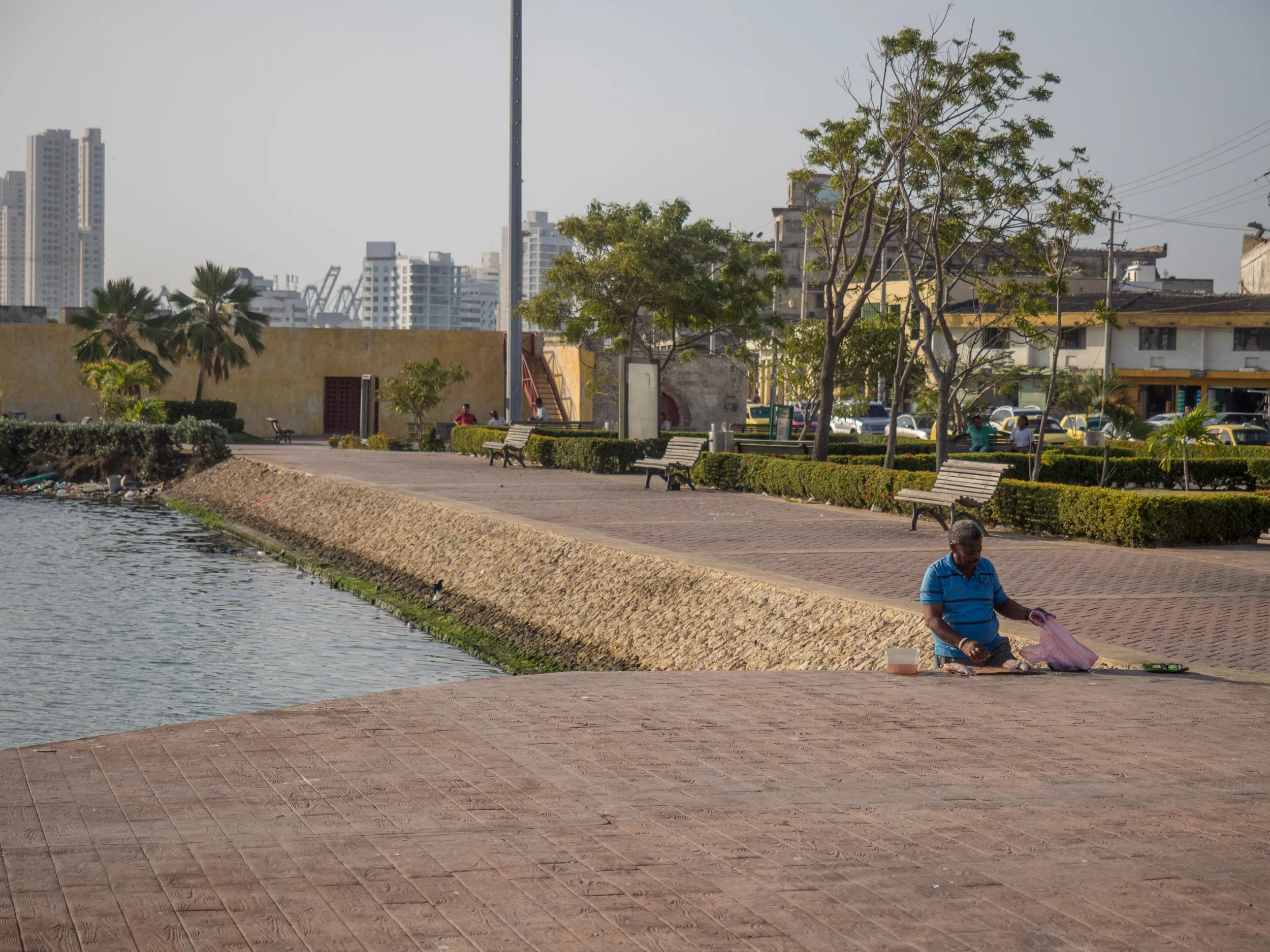 Morning Fisherman