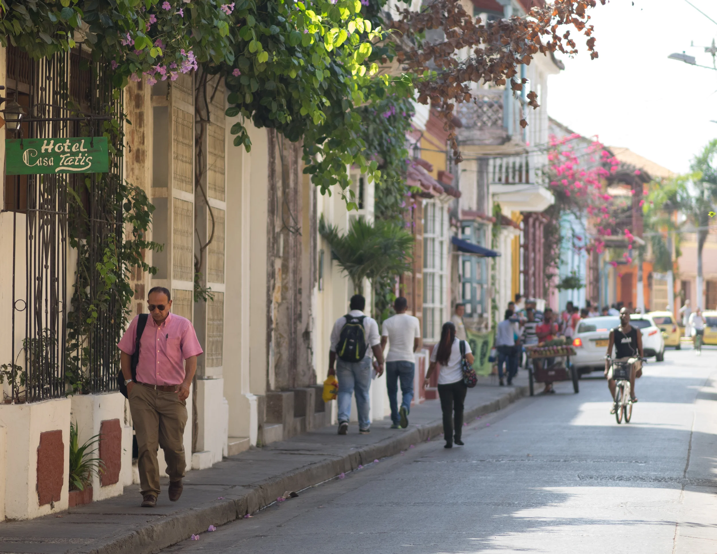 Flora and Fauna on the streets of Cartagena