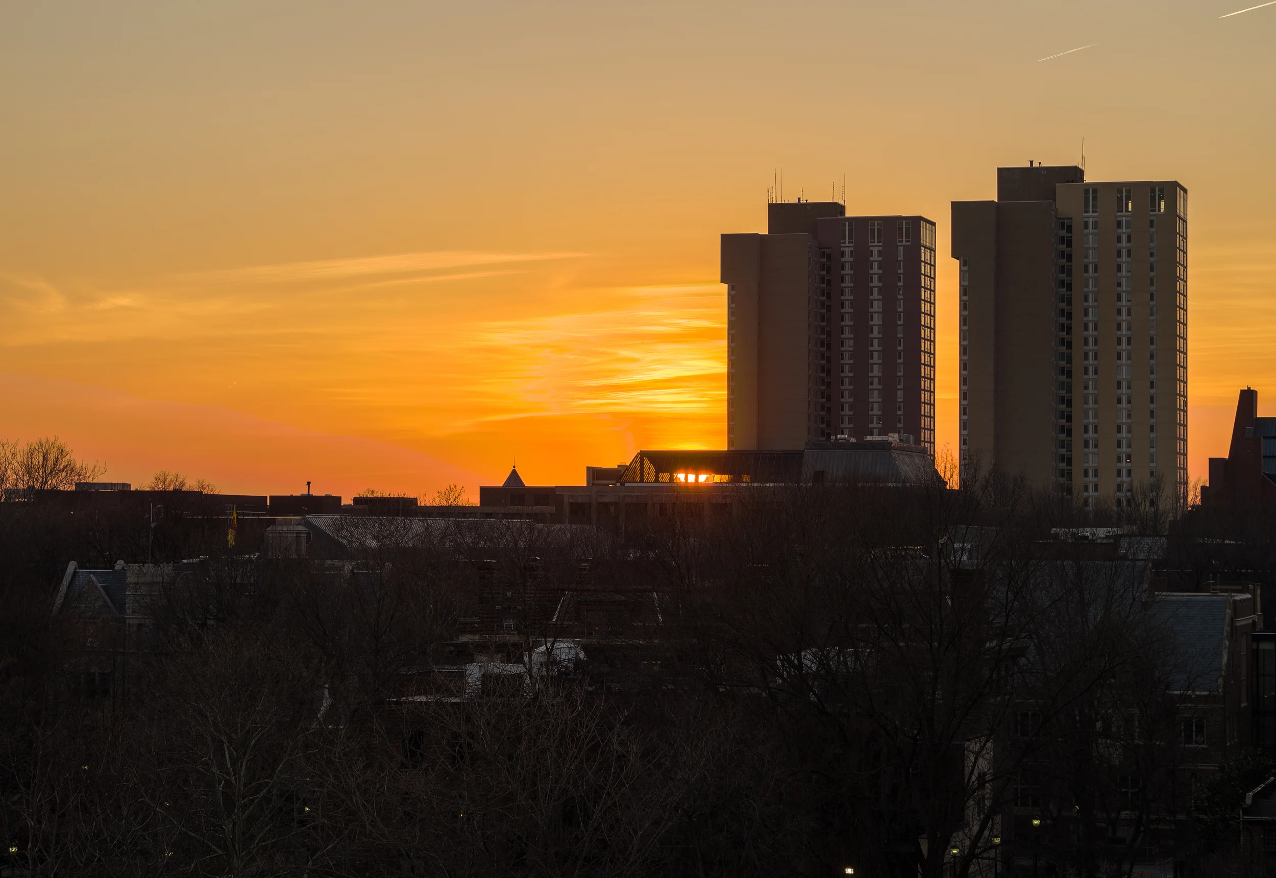 P3090882-Edit-9.jpg