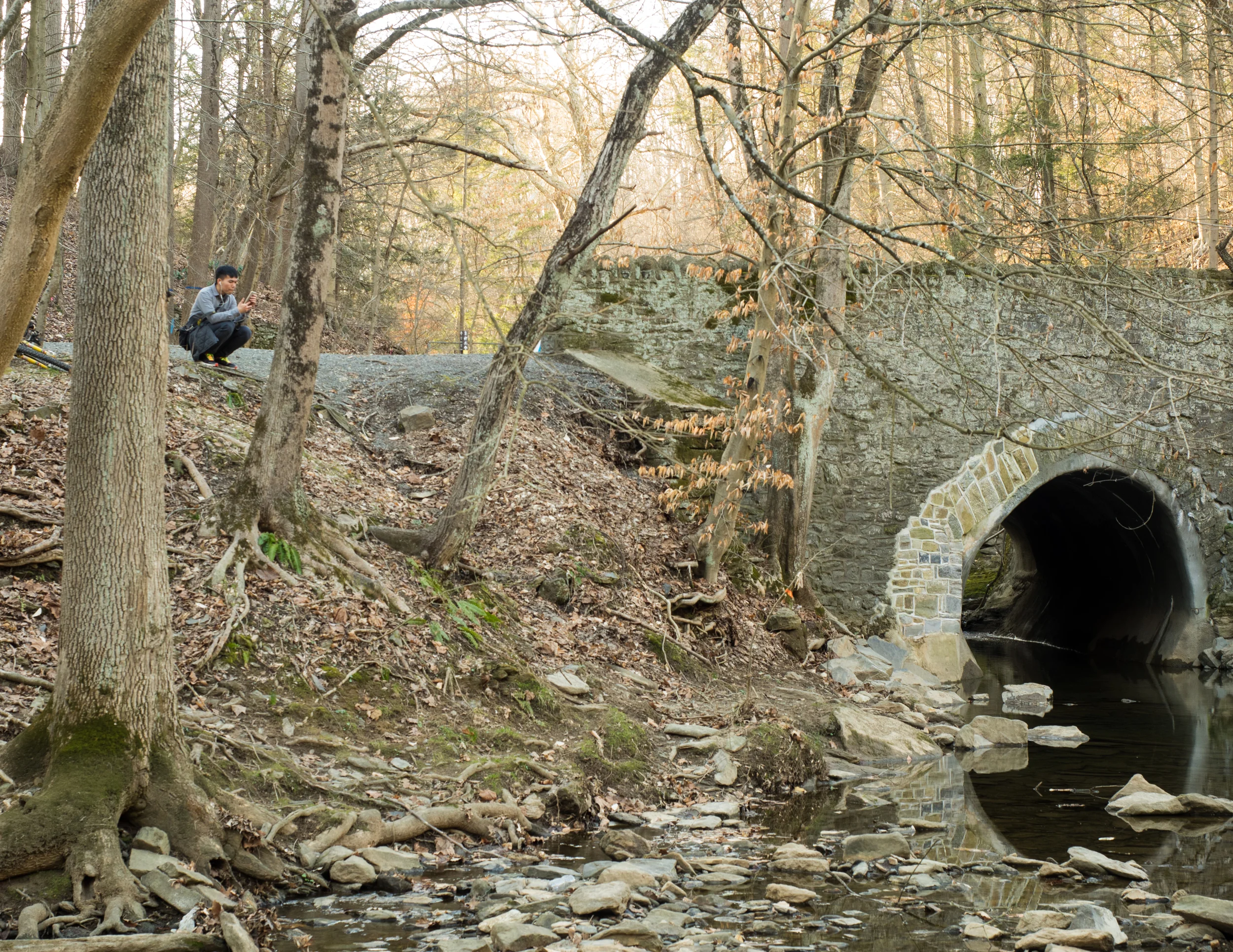 Man in the wilderness