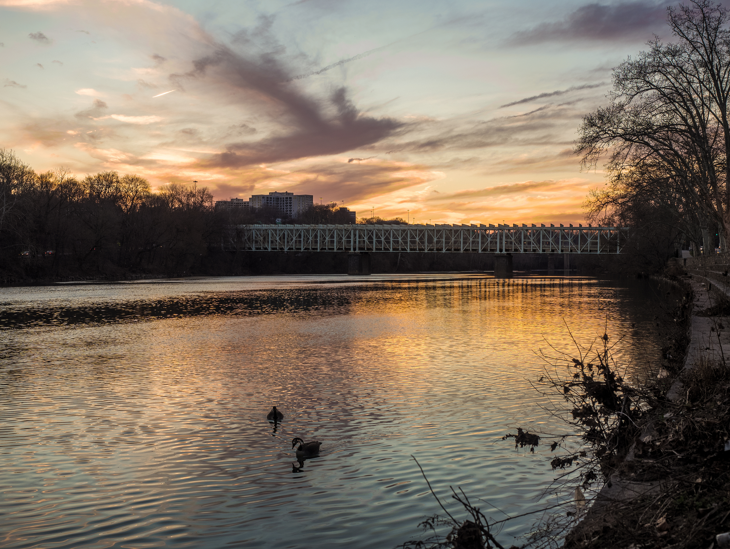 Sunset near the philly bike trail