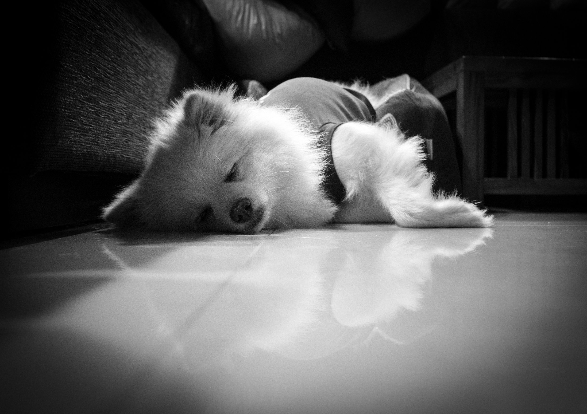 P1011053-19.jpg