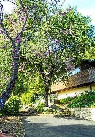2_edited-110.jpg