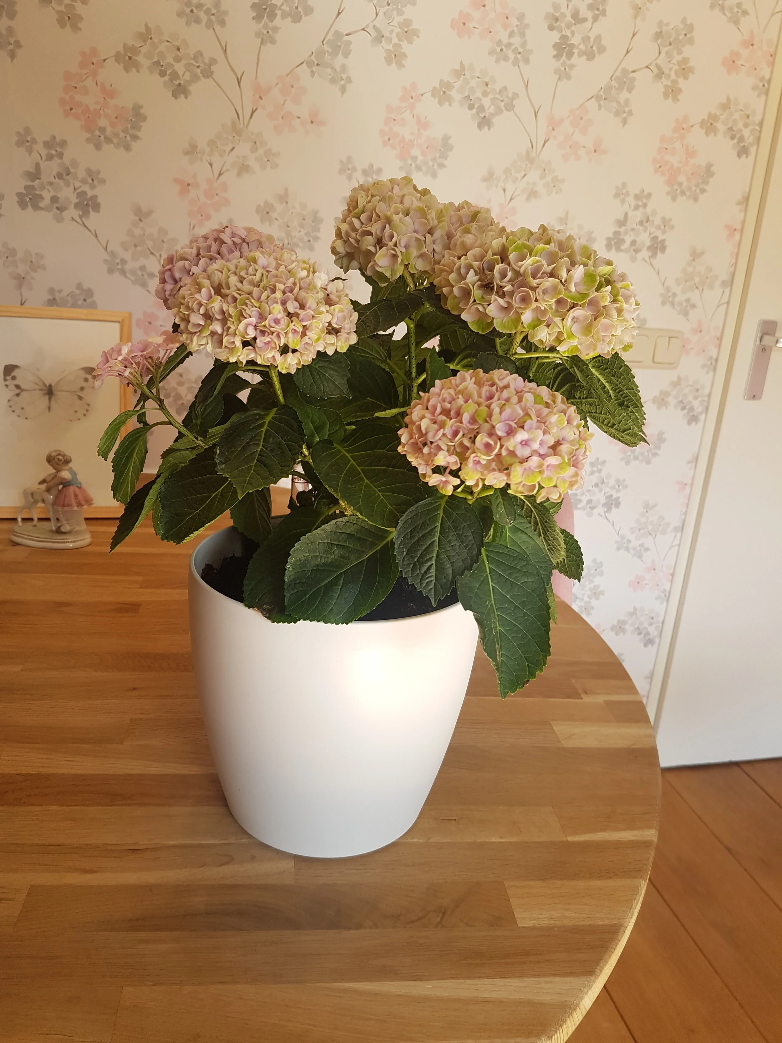 2018-07-05 10.20.55.jpg